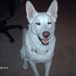 Meet your Posher, Scott